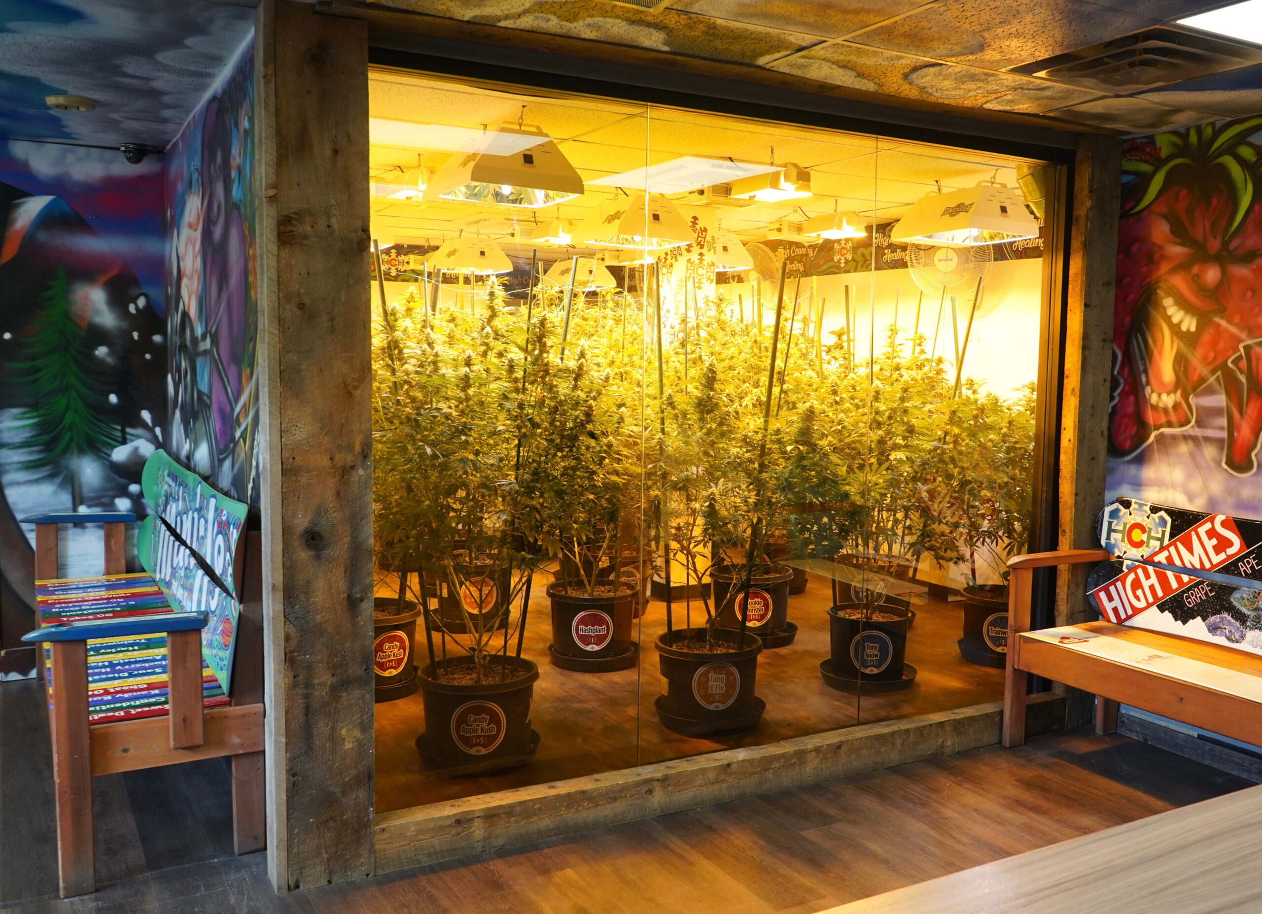 best cannabis flower near breckenridge